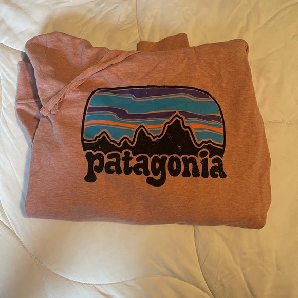 LIKE NEW Patagonia Sweatshirt - Picture 1 of 5